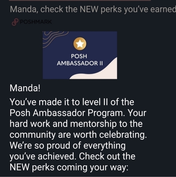 ⭐️⭐️ Posh Ambassador II Shop with Confidence ⭐️⭐️ - Picture 2 of 2